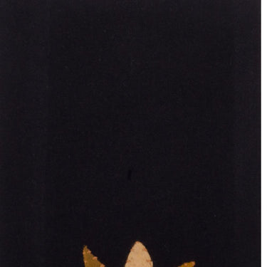 Sunflower Power Towel Black Set Of Two ETDG0037 - The Fox Decor